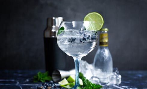 ウォッカトニック