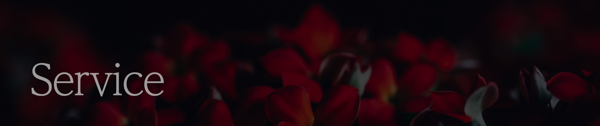 貸し出しサービスイメージ